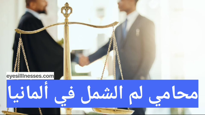 لم الشمل في ألمانيا